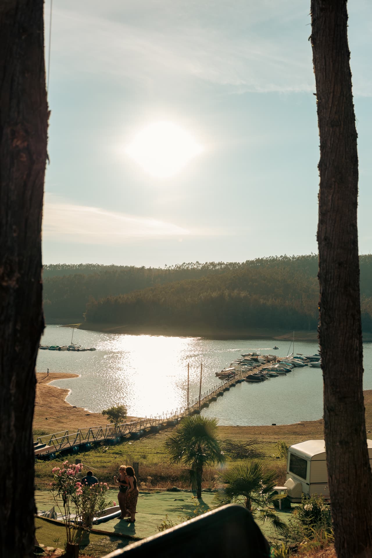 The lake and marina at golden hour, framed by pines