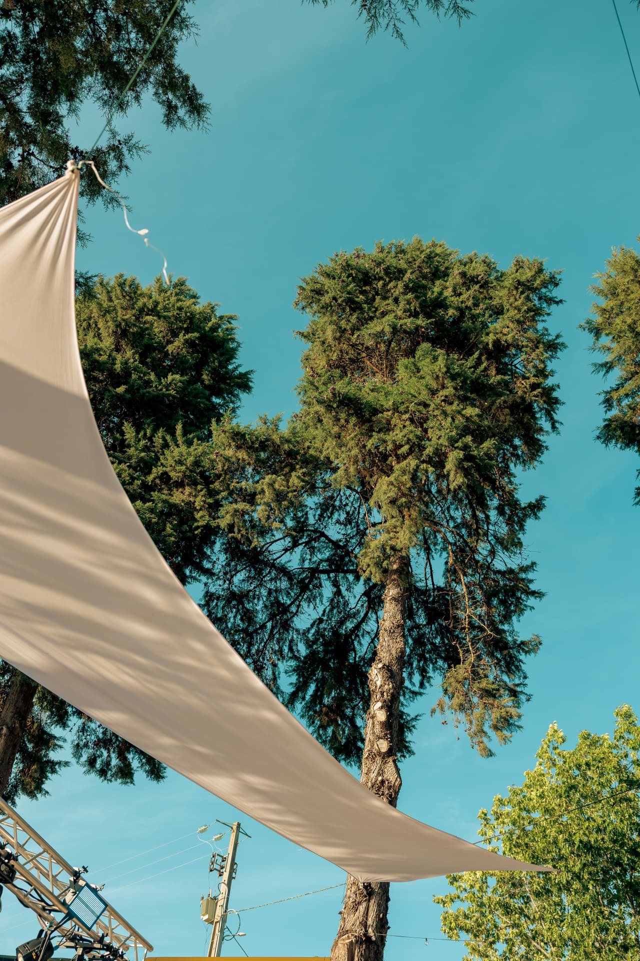 Cream canopy against a blue summer sky